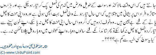 Almiya