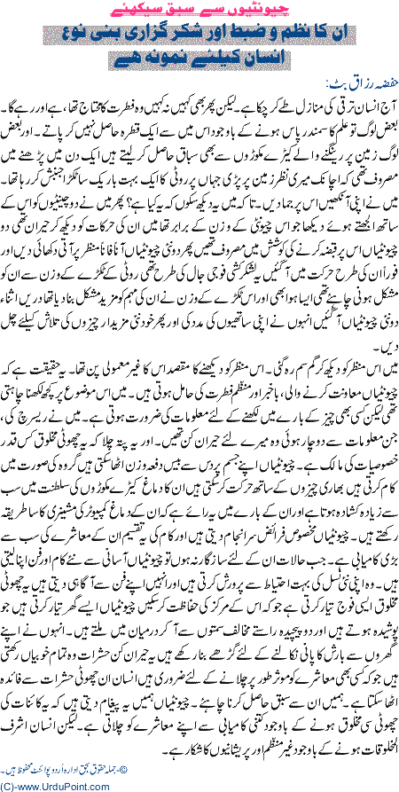 ChiyontooN See Sabaq Sekhiye
