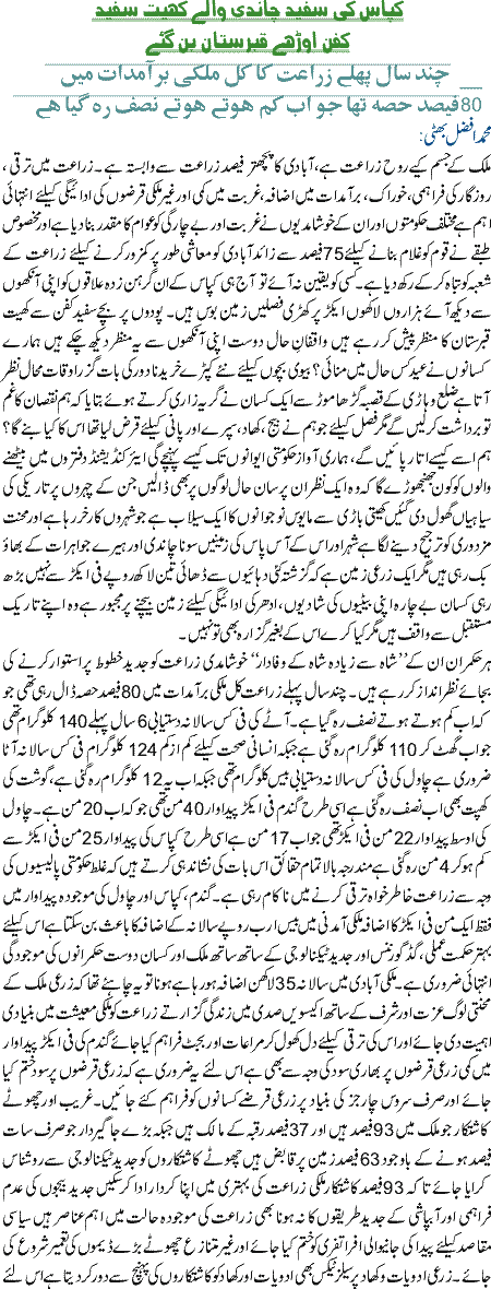 Kapas ki safeed chandi wale khait