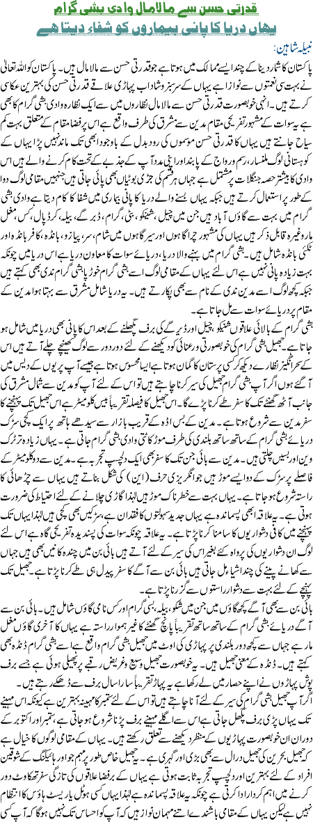 vadi bishigram
