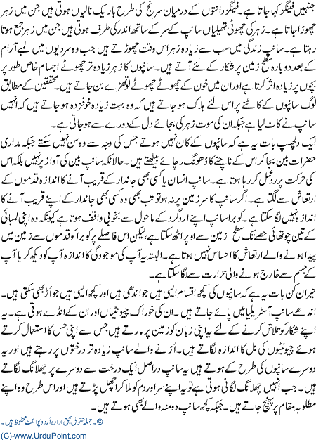 Sanp Aik PurAsraar MakhloQ