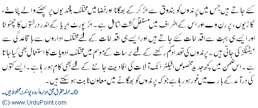Parndoon Ka Jahazoon Se Takrana !