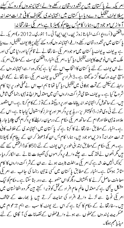 امریکہ نے پاکستان میں پرتشدد رجحان رکھنے والے انتہا پسندوں کو روکنے کیلئے پہلا یونٹ تشکیل دے دیا ،پاکستان میں انتہاپسندی کیخلاف کافی جرات مندانہ آوازیں موجود ہیں، ہمارا کام بس پیغام کو پھیلانا ہے، امریکی سفارتخانہ